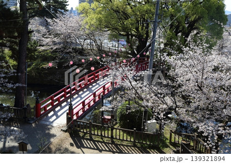 水堀にかかる新橋と桜 139321894