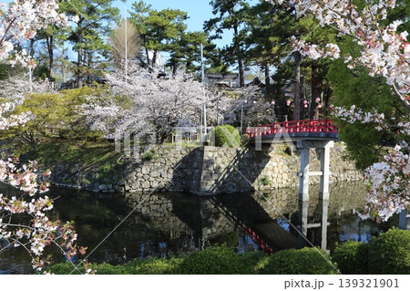 満開の桜と赤い神橋 満開の桜と赤い神橋 139321901