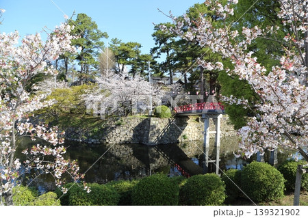 満開の桜と赤い神橋 満開の桜と赤い神橋 139321902