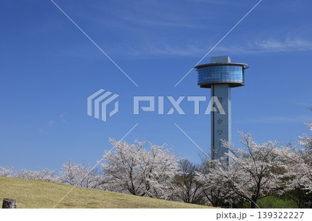 満開の桜の埼玉県行田市古代蓮の里の風景 満開の桜の埼玉県行田市古代蓮の里の風景 139322227
