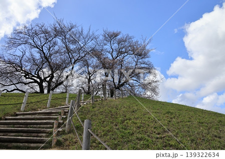 早春の埼玉県行田市丸墓山古墳の風景 139322634