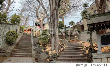 東京、田端八幡神社の石鳥居と参道の階段 139322911
