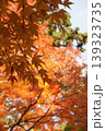 太田神社 139323735