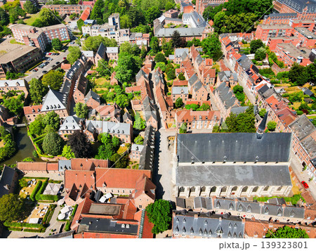 Aerial view Great Beguinage, Saint John Baptist Church in Leuven city 139323801