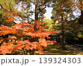 大徳寺 139324303