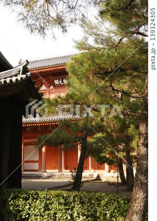 大徳寺 大徳寺 139324305