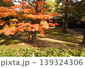 大徳寺 139324306