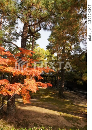 大徳寺 大徳寺 139324307