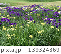 花 139324369