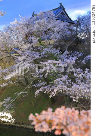 桜に囲まれた上田城 桜に囲まれた上田城 139324765