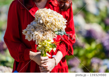 A shot of a woman wearing red blouse holds the elegant hydrangea bouquet in her hands on the blurry background of the hydrangea flower field. 139324980