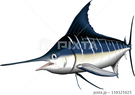 魚イラスト 「カジキ(マカジキ)」 ベクター形式 白背景単体 魚イラスト 「カジキ(マカジキ)」 ベクター形式 白背景単体 139325025