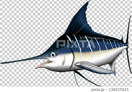 魚類插圖:「馬林魚(劍魚)」 - 向量格式 - 白色背景上的單張圖片 魚類插圖:「馬林魚(劍魚)」 - 向量格式 - 白色背景上的單張圖片 139325025