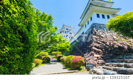 郡上八幡城 郡上八幡城 139325107