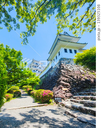 郡上八幡城 郡上八幡城 139325108