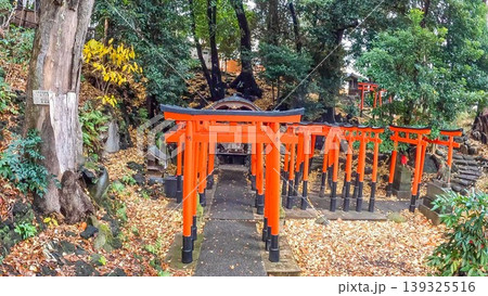 東京、都会の静寂に佇む赤い鳥居の列と稲荷神社 東京、都会の静寂に佇む赤い鳥居の列と稲荷神社 139325516