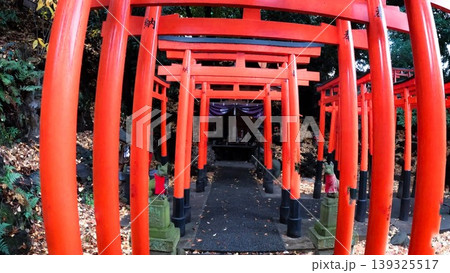 東京、都会の静寂に佇む赤い鳥居の列と稲荷神社 東京、都会の静寂に佇む赤い鳥居の列と稲荷神社 139325517