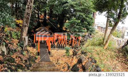 東京、都会の静寂に佇む赤い鳥居の列と稲荷神社 139325525