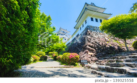 郡上八幡城 郡上八幡城 139325558