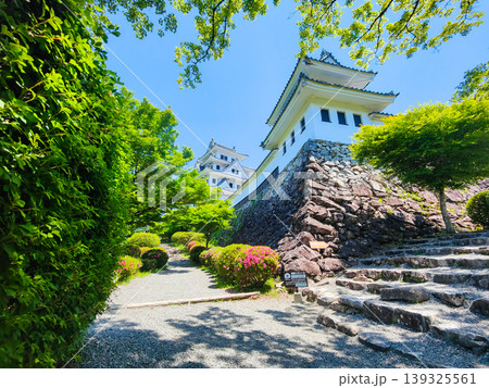 郡上八幡城 郡上八幡城 139325561