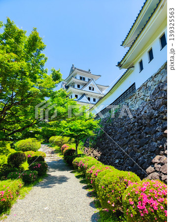 郡上八幡城 郡上八幡城 139325563