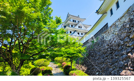 郡上八幡城 郡上八幡城 139325567