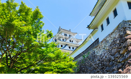 郡上八幡城 郡上八幡城 139325569