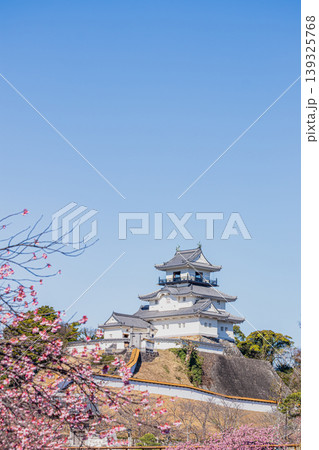 掛川市の掛川城と川沿いに咲く掛川桜の風景(静岡県) 掛川市の掛川城と川沿いに咲く掛川桜の風景(静岡県) 139325768