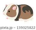 横向きのモルモット(三毛)のかわいいベクターイラスト 139325822