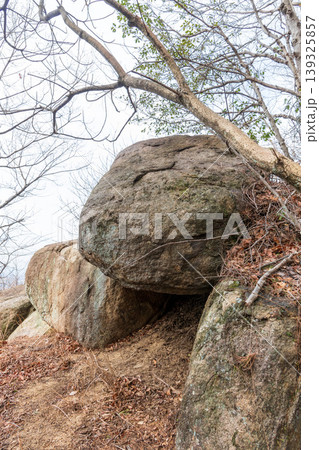 交野山山頂付近に点在する巨石群の一部 交野山山頂付近に点在する巨石群の一部 139325857