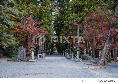森町の遠江国一宮小國神社の紅葉の風景(静岡県) 森町の遠江国一宮小國神社の紅葉の風景(静岡県) 139325893