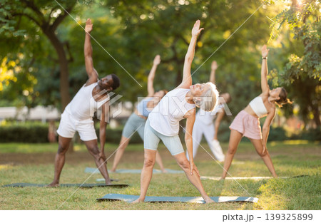 Fitness, sport and healthy lifestyle concept: group of multinational people doing yoga yoga pose - vrikshasana pose on mat in park Fitness, sport and healthy lifestyle concept: group of multinational people doing yoga yoga pose - vrikshasana pose on mat in park 139325899