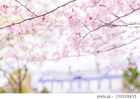 豊平館と満開の桜(豊平館はぼかしたバージョン) 豊平館と満開の桜(豊平館はぼかしたバージョン) 139326655