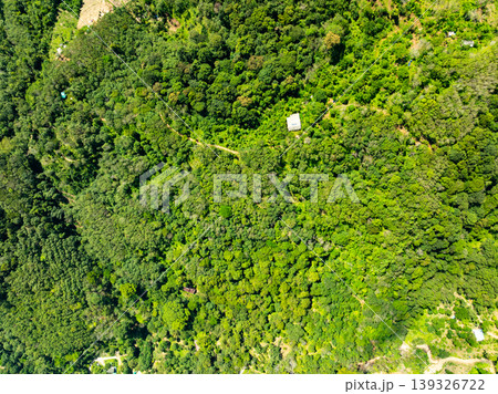Top view forest green nature background Top view forest green nature background 139326722