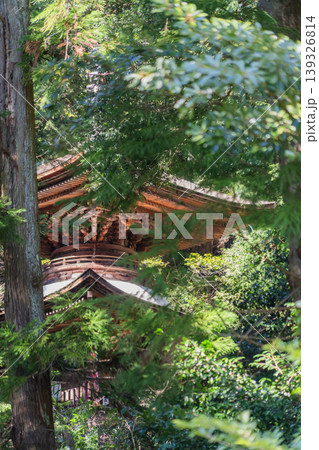日龍峯寺 高澤観音境内の景色 139326814