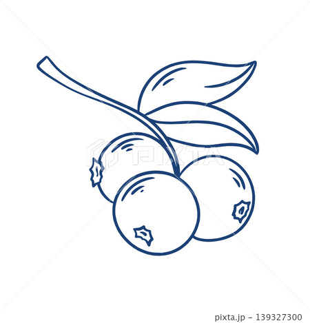 Engraved branch with blueberries Engraved branch with blueberries 139327300
