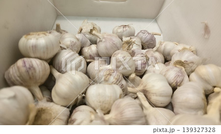 Fresh organic garlic bulbs with white papery skin in a market display 1 Fresh organic garlic bulbs with white papery skin in a market display 1 139327328