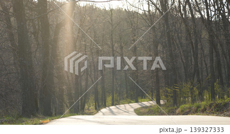 An asphalt road in a park against the backdrop of a sunlit spring forest. 139327333