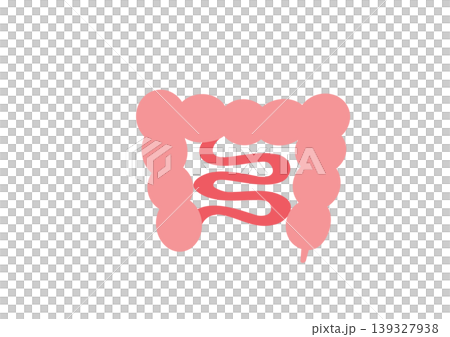 Cute illustration of a large intestine Cute illustration of a large intestine 139327938