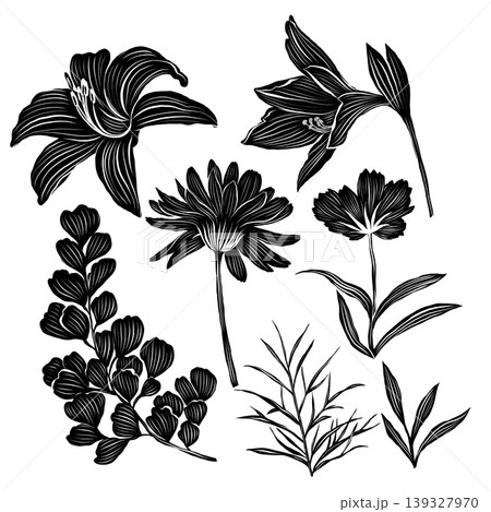 Black and white vector card with various flowers Black and white vector card with various flowers 139327970