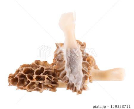 Morel mushroom isolated on white background. Morchella esculenta. Spring edible fungi. Clipping path. Morel mushroom isolated on white background. Morchella esculenta. Spring edible fungi. Clipping path. 139328711