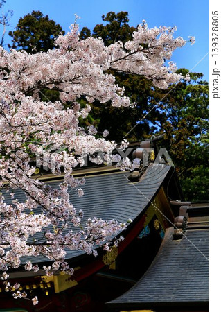 春・桜咲く頃… 塩竈みなと祭の出発点【鹽竈神社】 139328806