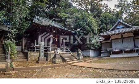 東京都世田谷区岡本 岡本八幡宮 東京都世田谷区岡本 岡本八幡宮 139329089