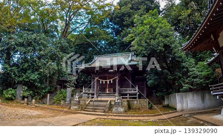 東京都世田谷区岡本 岡本八幡宮 東京都世田谷区岡本 岡本八幡宮 139329090