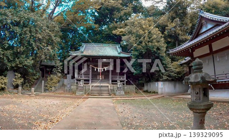 東京都世田谷区岡本 岡本八幡宮 東京都世田谷区岡本 岡本八幡宮 139329095