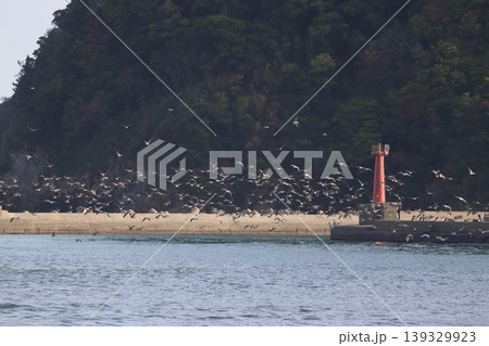 海と鳥と灯台と 海と鳥と灯台と 139329923