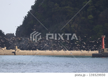 海と鳥と灯台と 海と鳥と灯台と 139329930