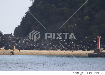 海と鳥と灯台と 海と鳥と灯台と 139329932
