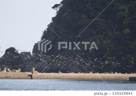海と鳥と灯台と 139329943