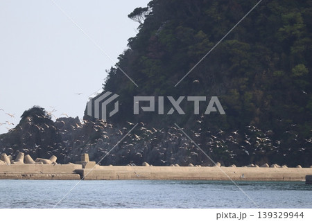 海と鳥と灯台と 139329944